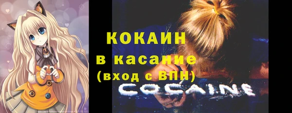 ПСИЛОЦИБИНОВЫЕ ГРИБЫ Гусев