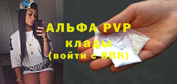 ПСИЛОЦИБИНОВЫЕ ГРИБЫ Гусев