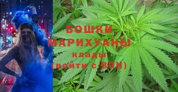 молекула духа Гусиноозёрск