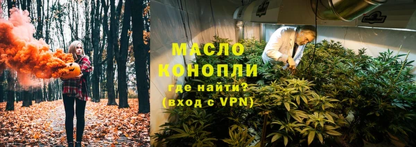 ПСИЛОЦИБИНОВЫЕ ГРИБЫ Гусев