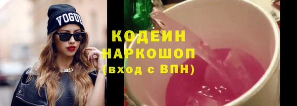 ПСИЛОЦИБИНОВЫЕ ГРИБЫ Гусев