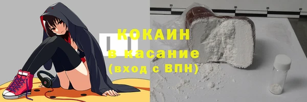 шишки Бородино