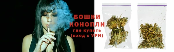 ПСИЛОЦИБИНОВЫЕ ГРИБЫ Гусев