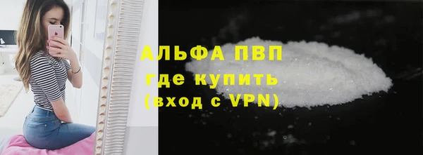 молекула духа Гусиноозёрск