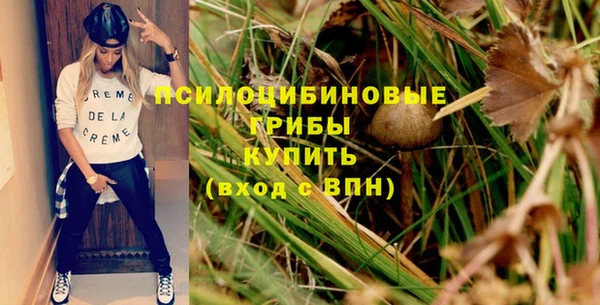 ПСИЛОЦИБИНОВЫЕ ГРИБЫ Гусев