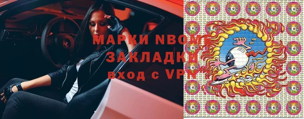 ПСИЛОЦИБИНОВЫЕ ГРИБЫ Гусев