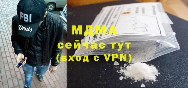 ПСИЛОЦИБИНОВЫЕ ГРИБЫ Гусев