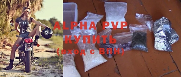 молекула духа Гусиноозёрск