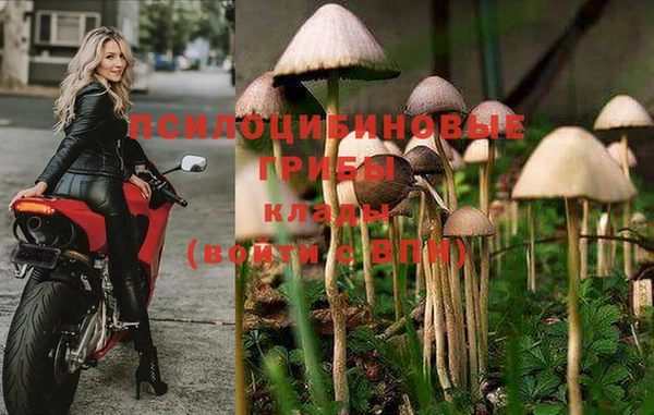 ПСИЛОЦИБИНОВЫЕ ГРИБЫ Гусев