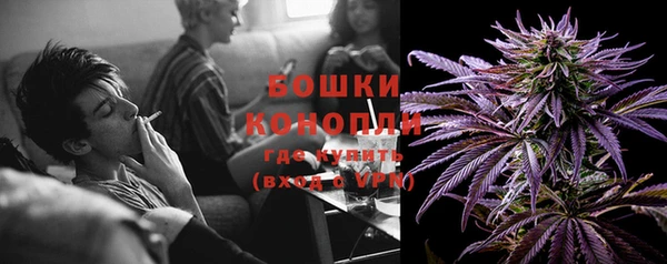 молекула духа Гусиноозёрск