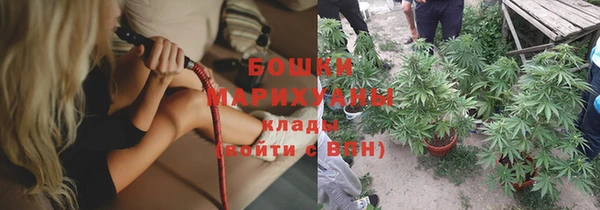 молекула духа Гусиноозёрск