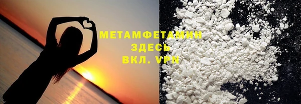 ПСИЛОЦИБИНОВЫЕ ГРИБЫ Гусев