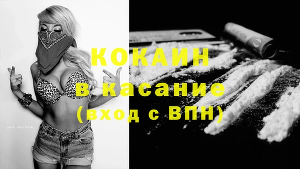 ПСИЛОЦИБИНОВЫЕ ГРИБЫ Гусев