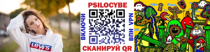 Галлюциногенные грибы MAGIC MUSHROOMS Завитинск