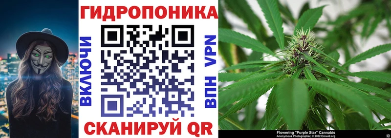 блэк спрут ONION  Завитинск  мориарти Telegram  сколько стоит  Каннабис ГИДРОПОН 